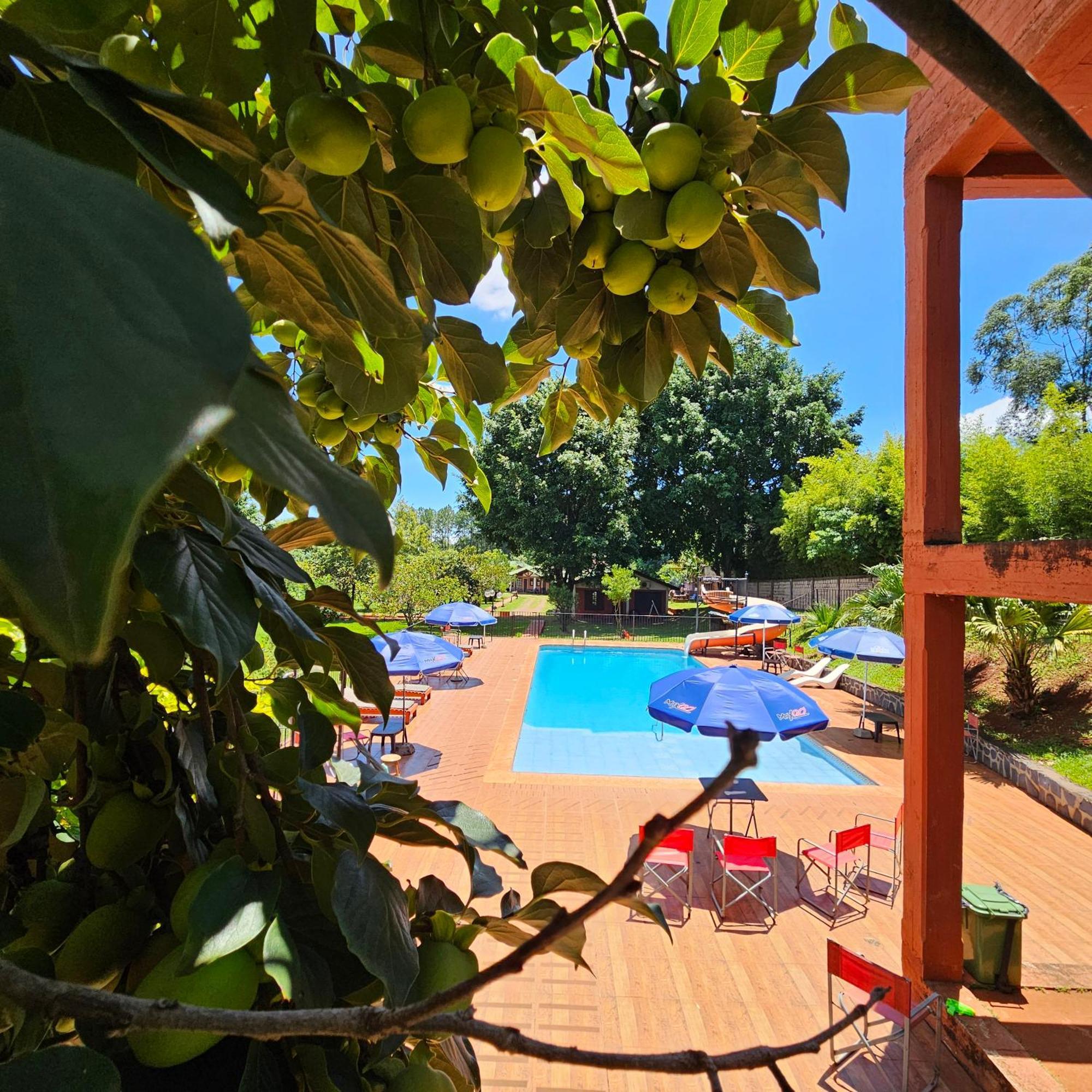 Cabanas El Refugio Del Mensu Puerto Iguazú Kültér fotó